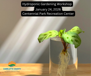 Hydroponic Gardening Workshop