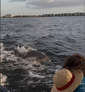 Charlotte County young entrepreneur